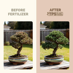 Close-up of TPS NUTRIENTS Bonsai Fertilizer liquid pour spout