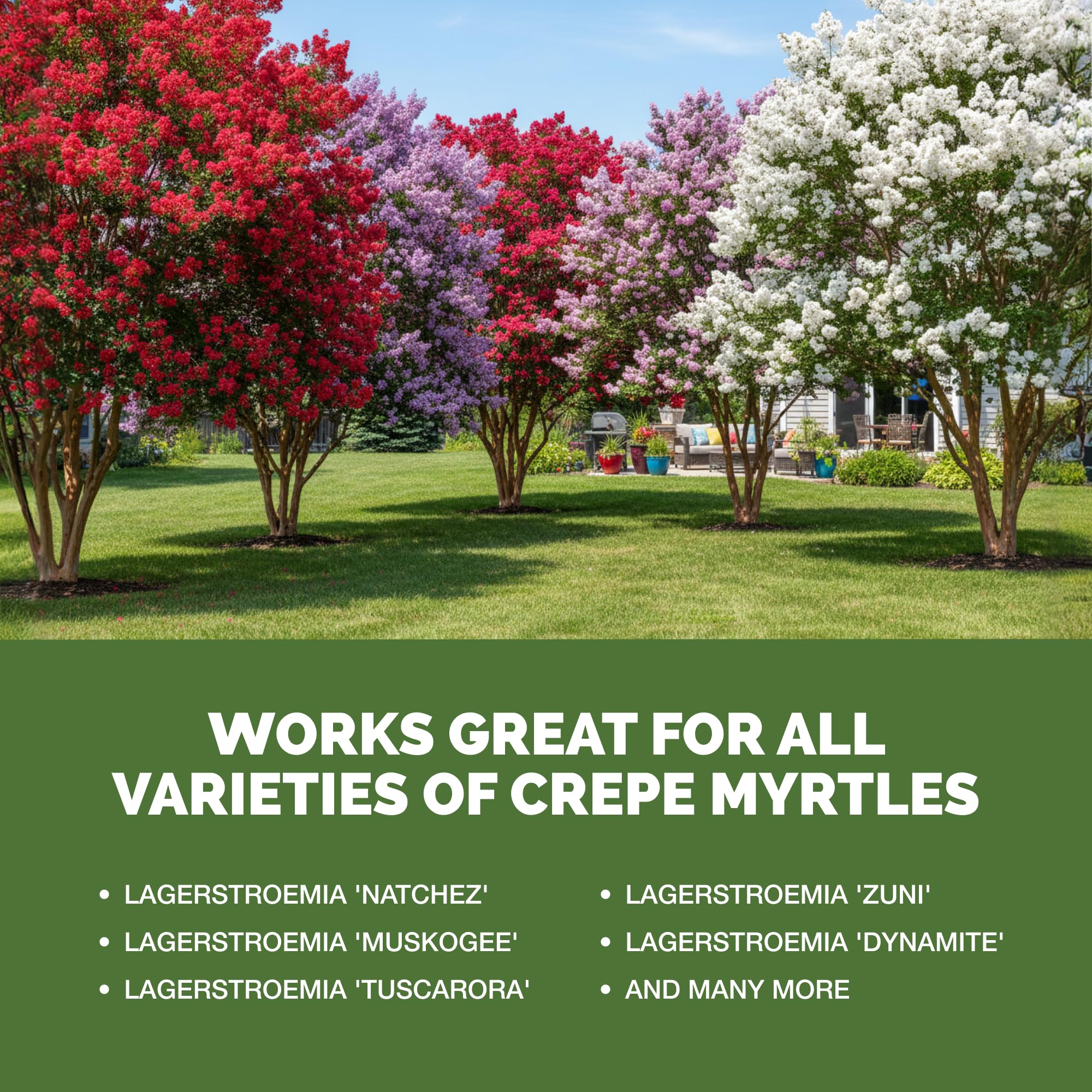 Close-up of TPS NUTRIENTS Crepe Myrtle Fertilizer liquid texture