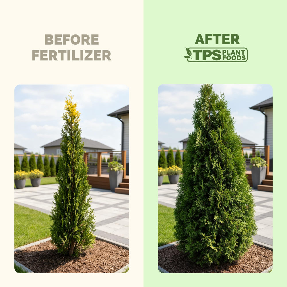 Close-up of TPS NUTRIENTS Evergreen Tree Fertilizer label