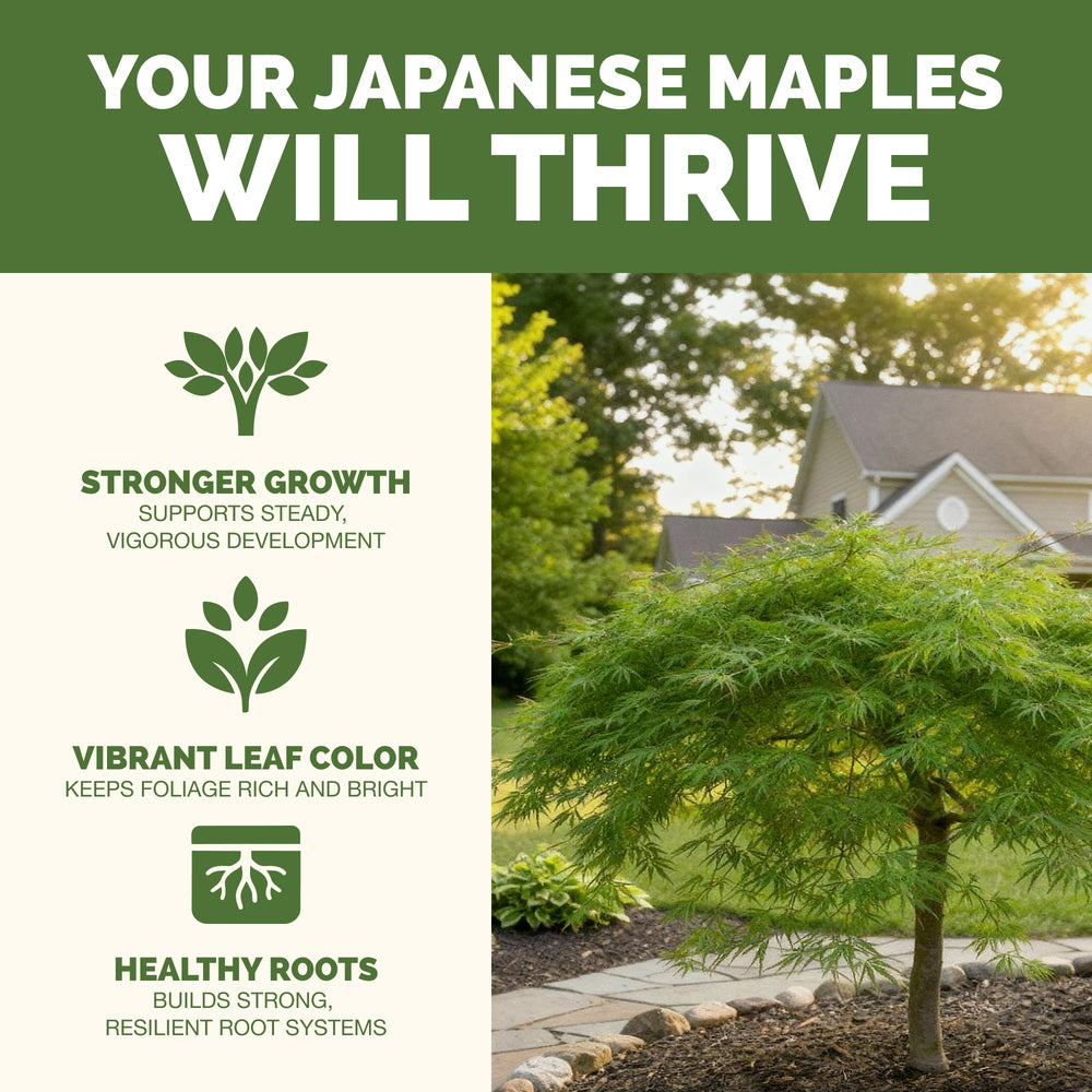Close-up of TPS Nutrients Japanese Maple Tree Fertilizer label