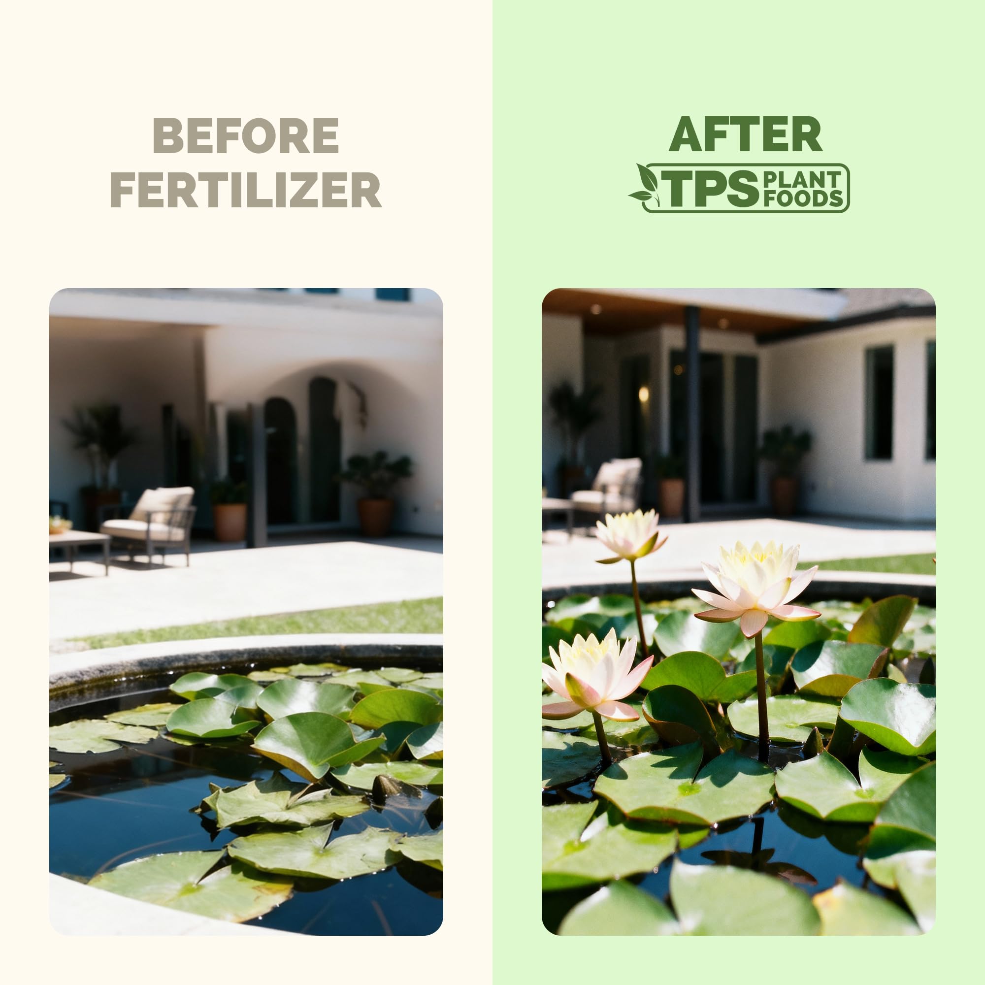 Close-up of TPS NUTRIENTS Lotus Fertilizer liquid