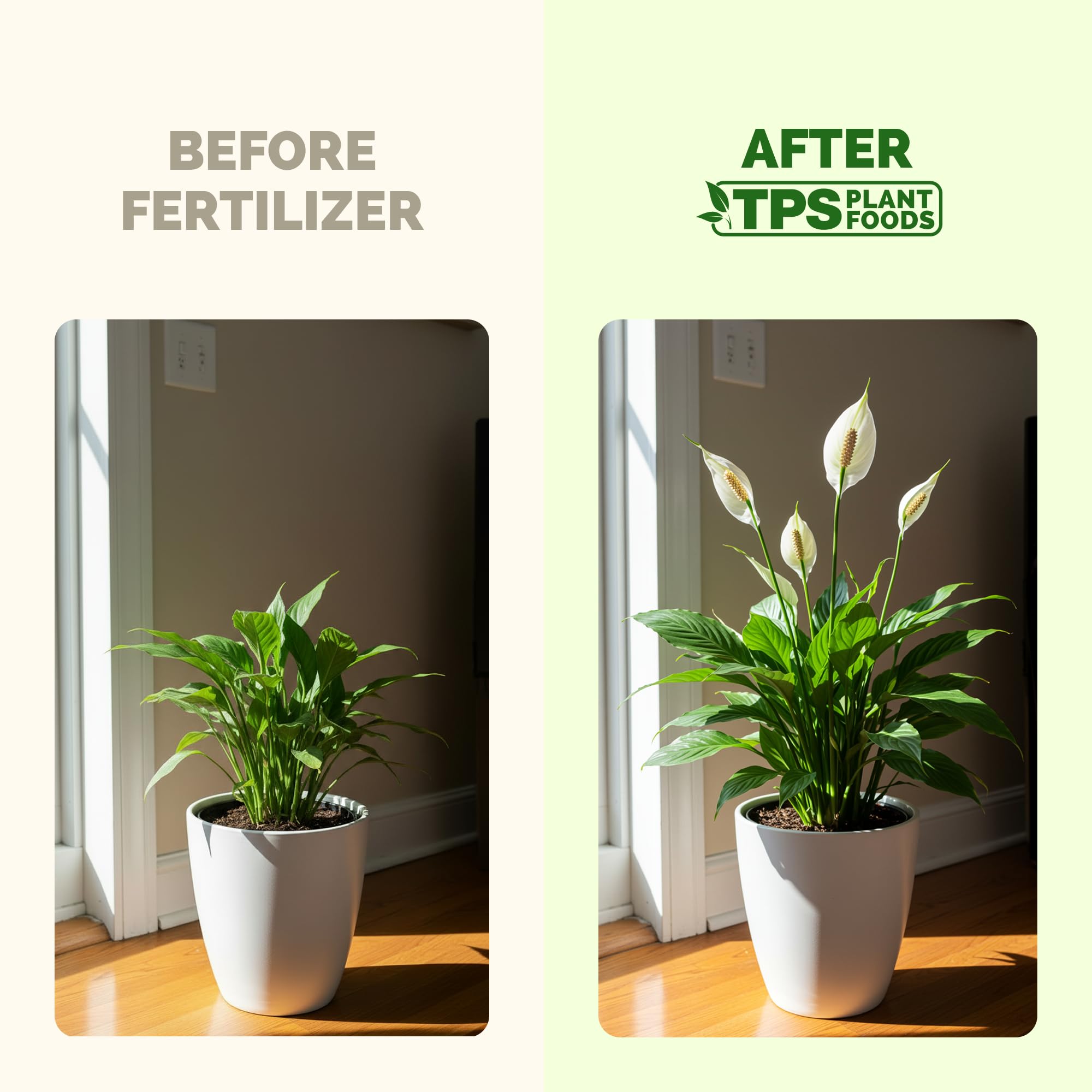 Close-up of TPS NUTRIENTS Peace Lily Fertilizer bottle with label