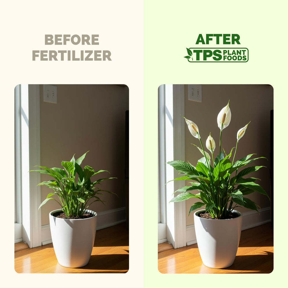 Close-up of TPS NUTRIENTS Peace Lily Fertilizer bottle with label