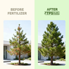 Close-up of TPS NUTRIENTS Tree Fertilizer label