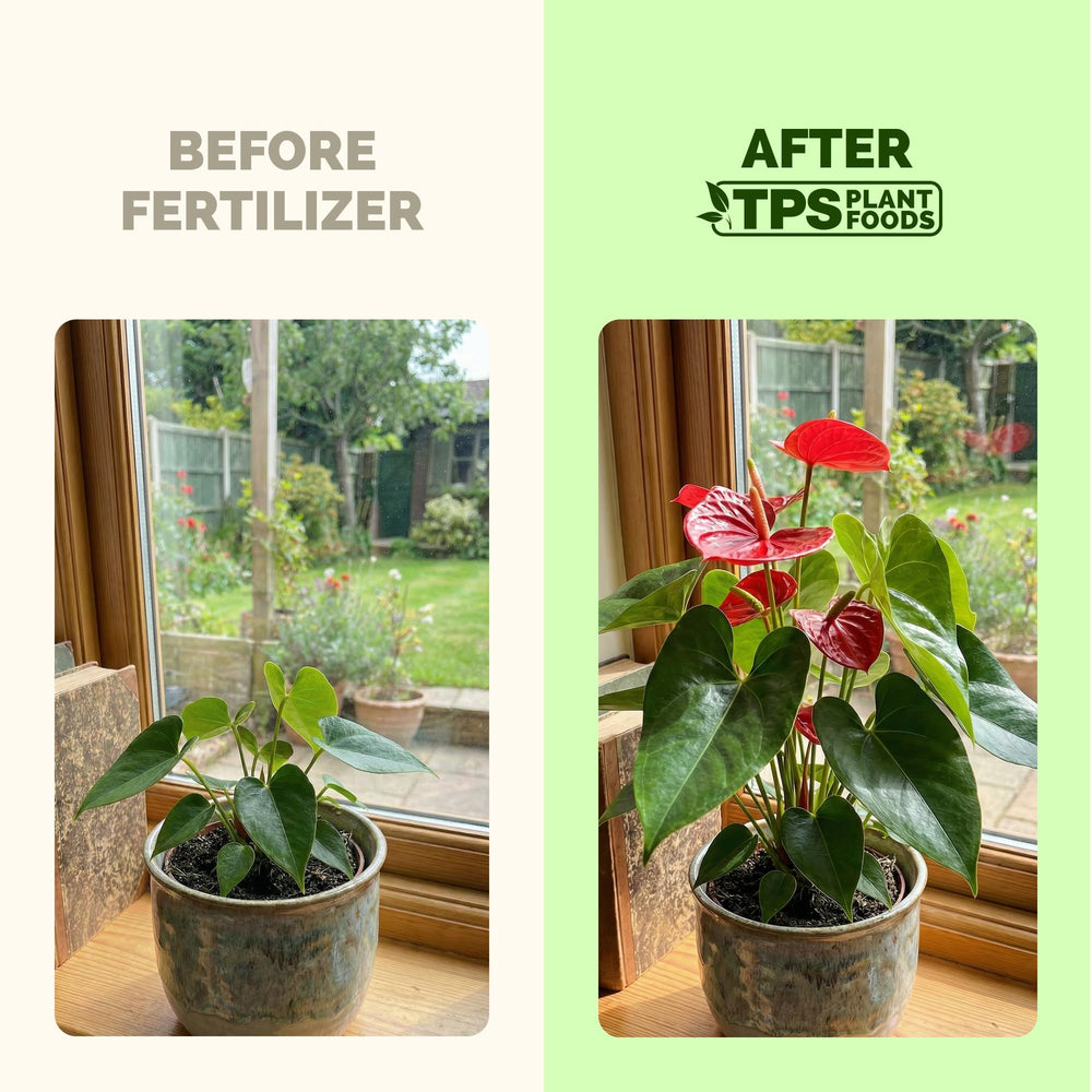 Close-up of TPS NUTRIENTS Tropical Plant Fertilizer label