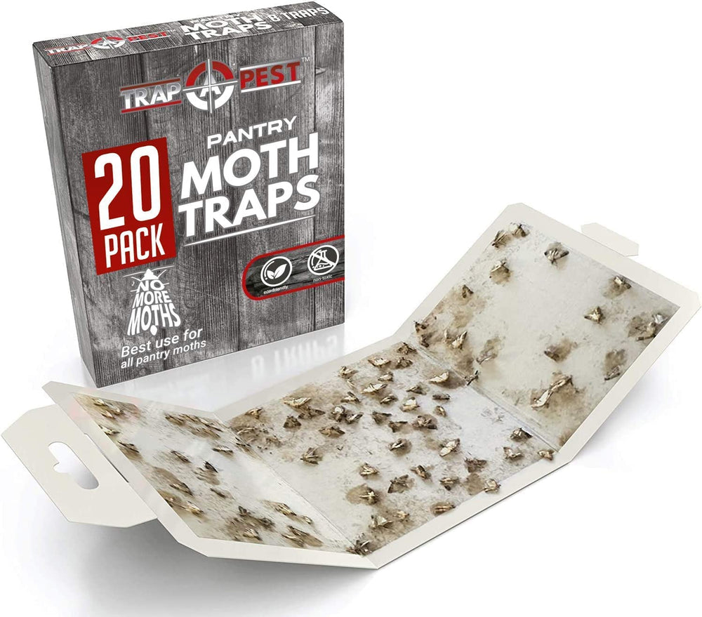 Close-up of TRAP A PEST Moth Trap adhesive surface