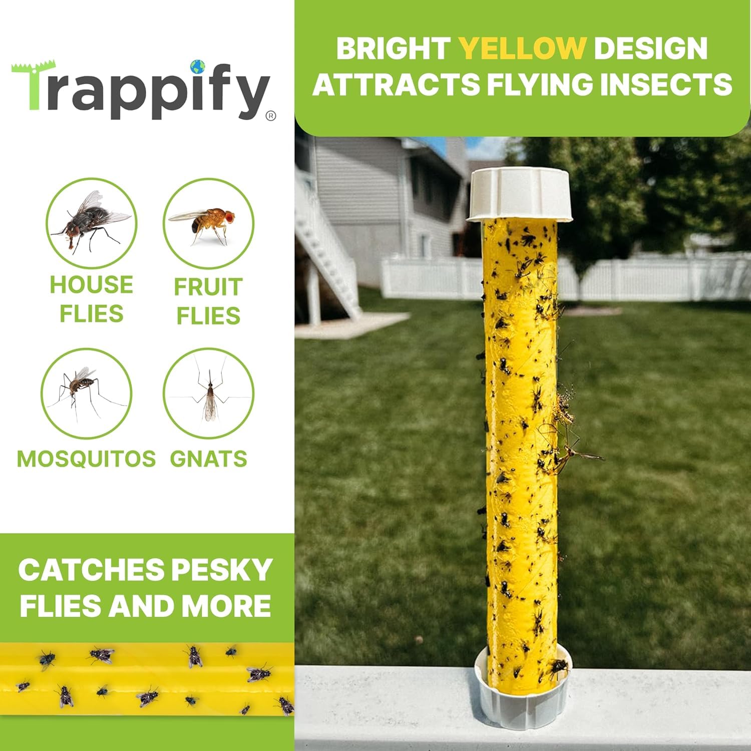 Close-up of Trappify fly trap's sticky surface