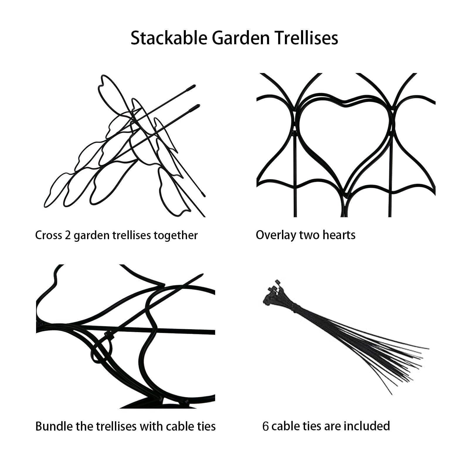 Close-up of Trlzey Plant Trellis with vines