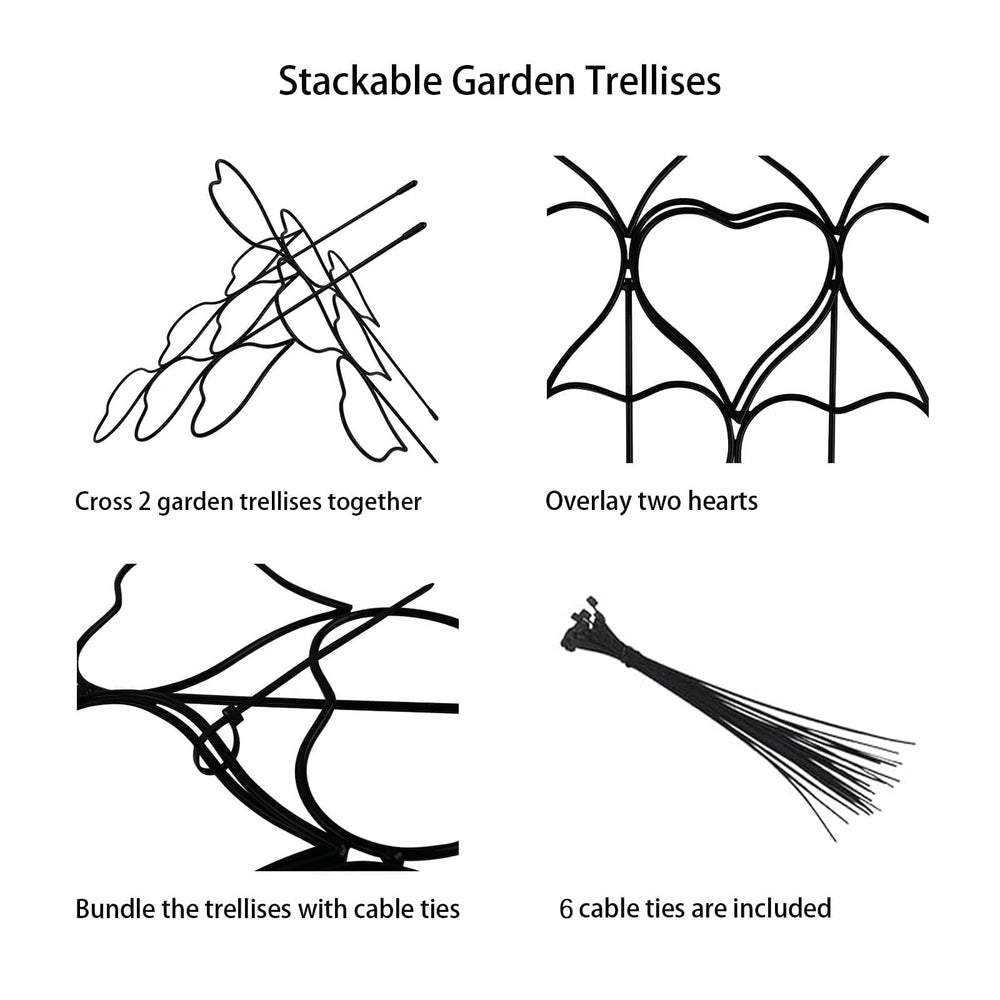 Close-up of Trlzey Plant Trellis with vines