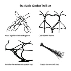 Close-up of Trlzey Plant Trellis with vines