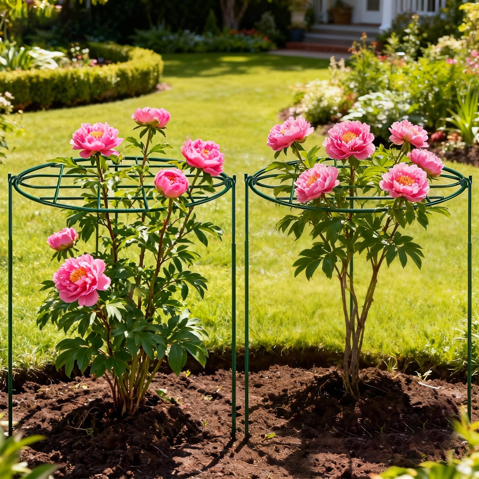Close-up of TTQ Peony Cage material and green powder coating