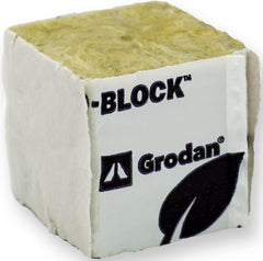 Close-up of Twin Canaries Rockwool Cubes with plants