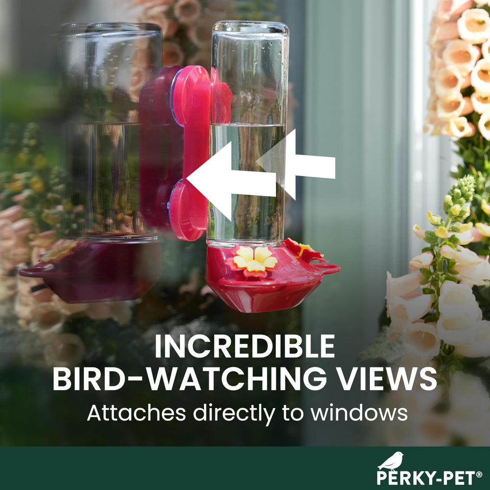 Close-up of two flower-shaped feeding ports on the Perky-Pet Feeder