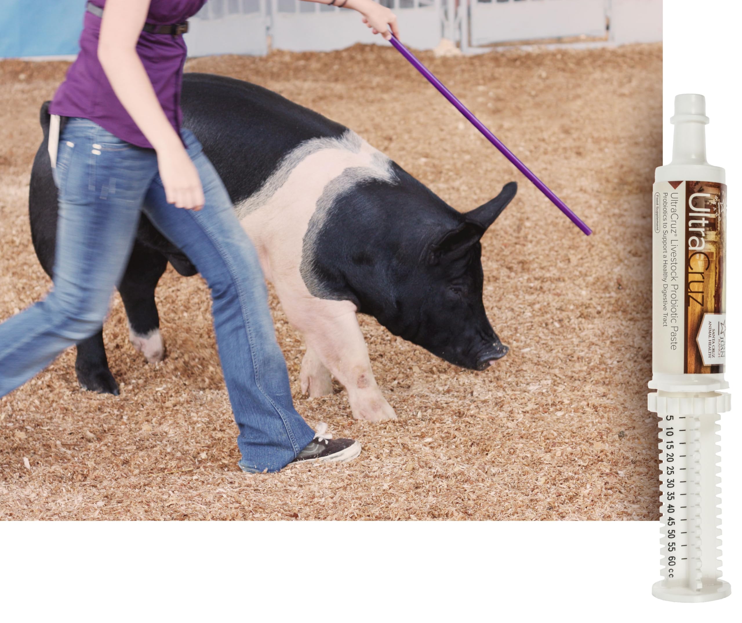 Close-up of UltraCruz Probiotic Paste texture