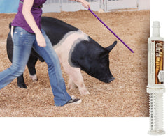 Close-up of UltraCruz Probiotic Paste texture