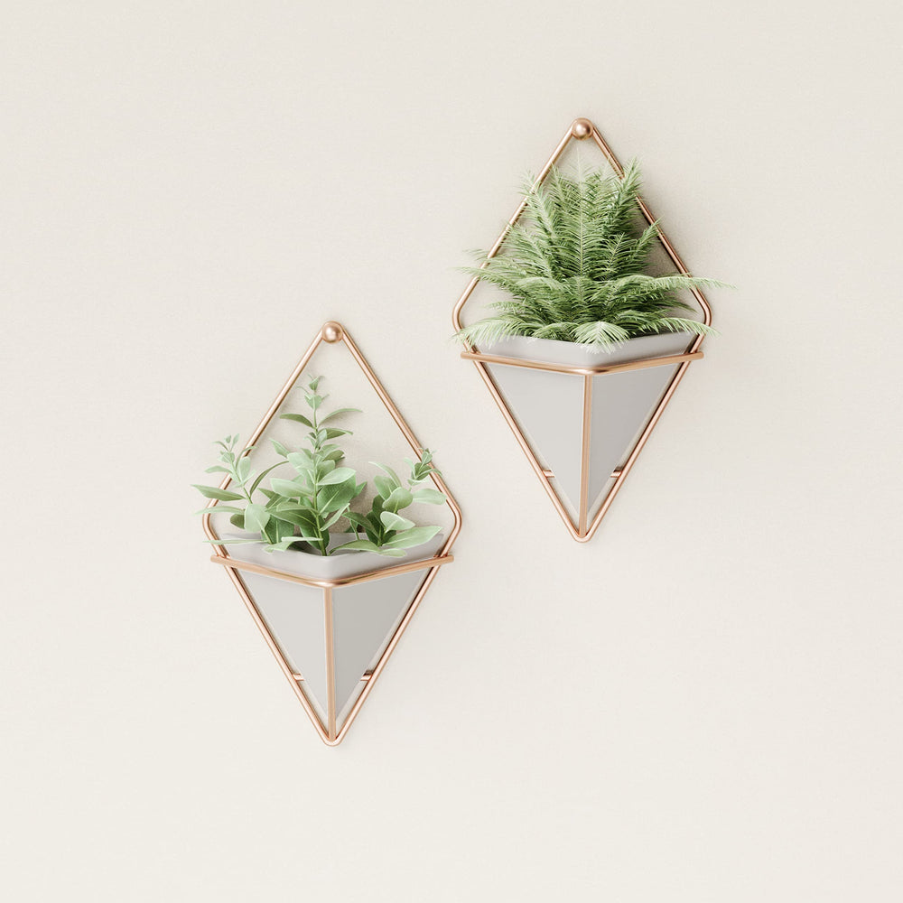 Close-up of Umbra Trigg Hanging Planter with succulent