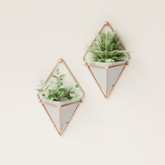 Close-up of Umbra Trigg Hanging Planter with succulent
