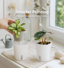 Close-up of Vandorelle self-watering pot showing clear inner cup