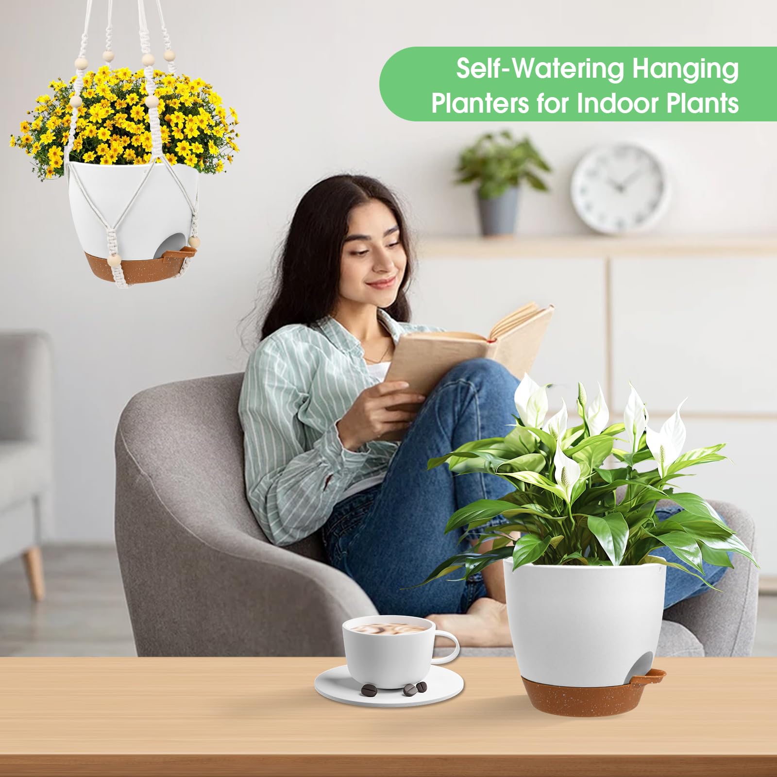 Close-up of Vanslogreen hanging planter with plant inside