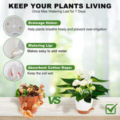 Close-up of Vanslogreen self watering pot with side watering opening
