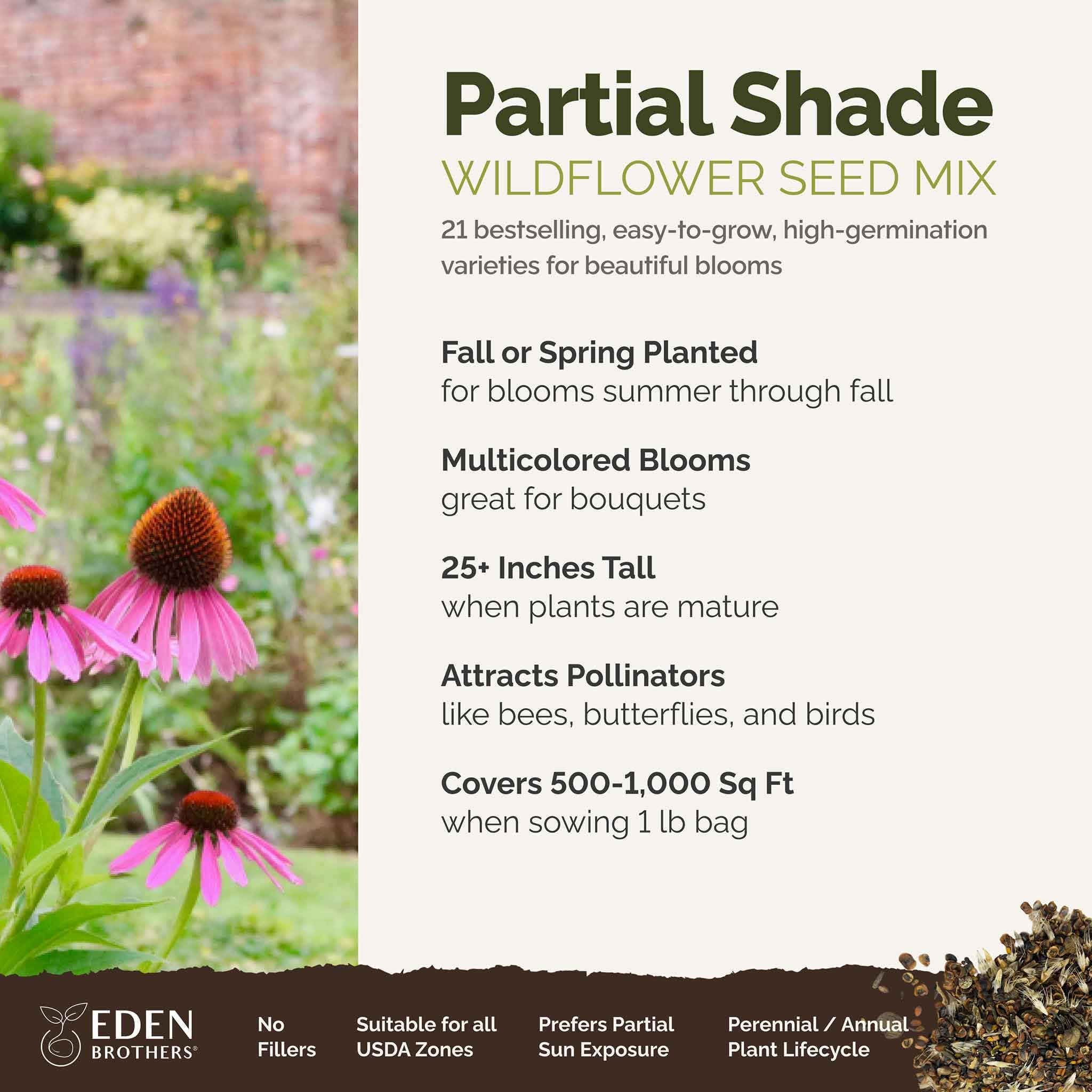 Close-up of various flower seeds included in the mix