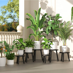 Close-up of Vecxoty plant stand with a large plant on it