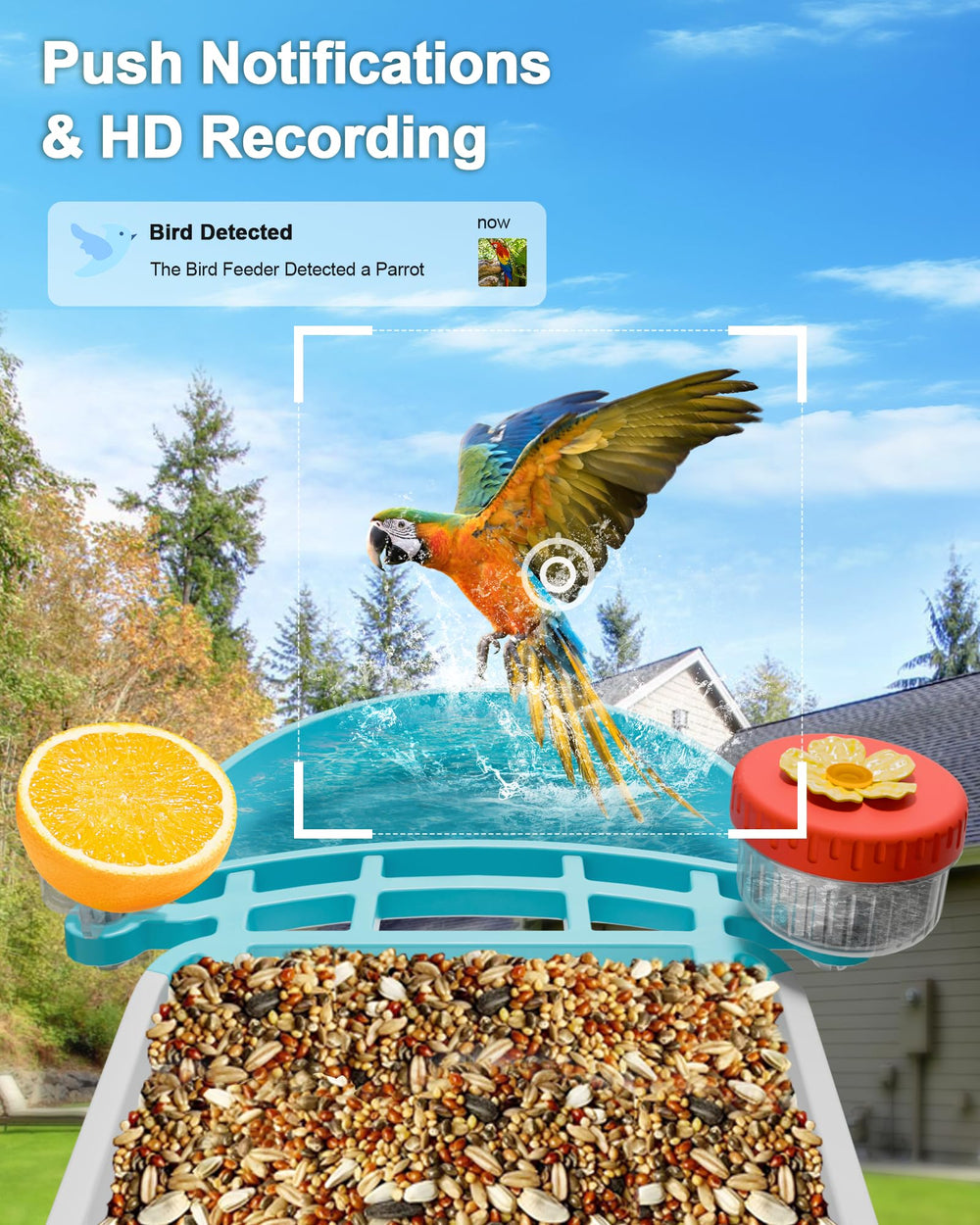 Close-up of VISIOGEAR bird feeder and bath