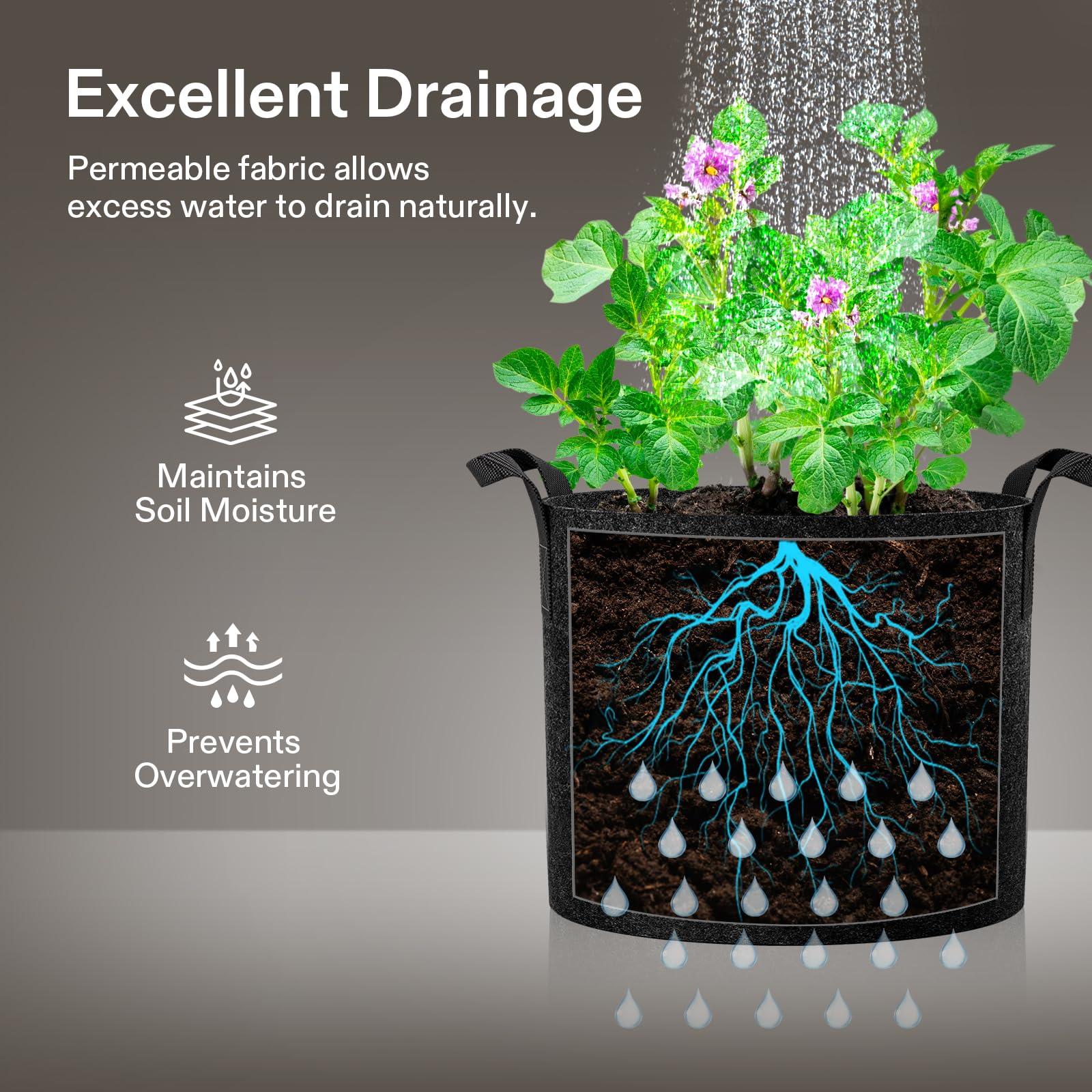 Close-up of VIVOSUN Grow Bag fabric material