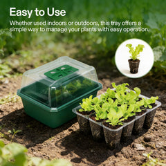 Close-up of VIVOSUN seed starter tray with seedlings