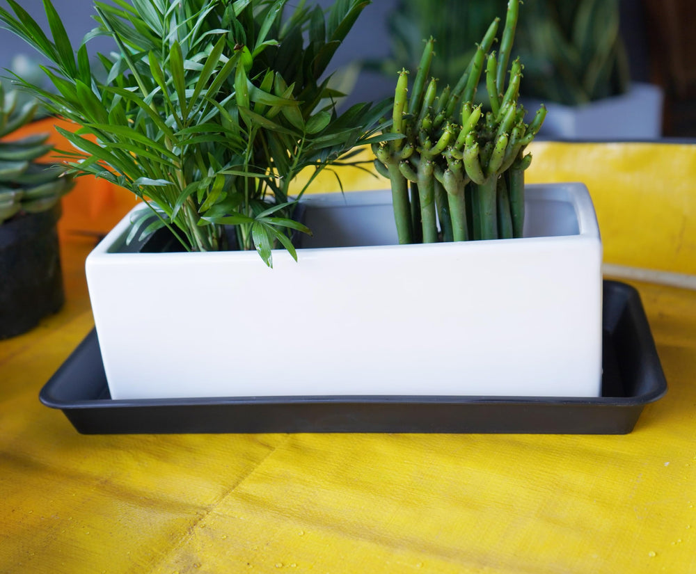 Close up of VUWEZ plant tray material texture