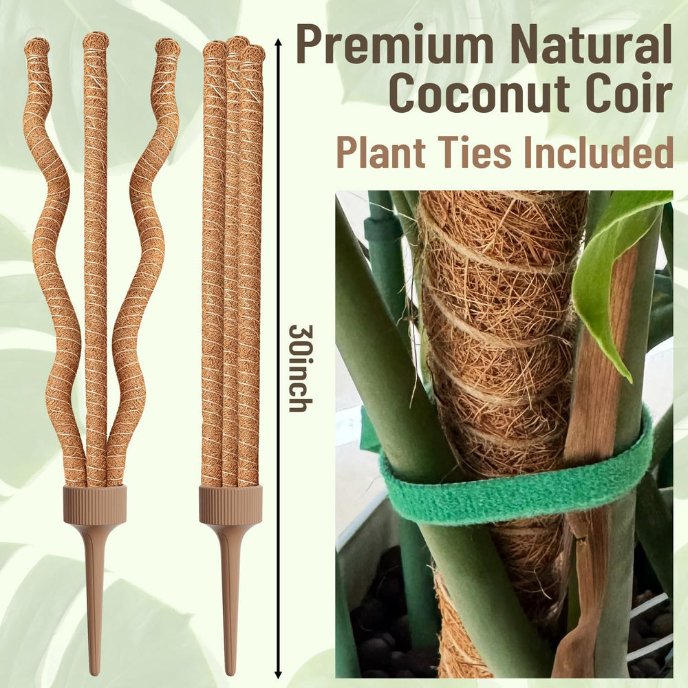 Close-up of WANLINK moss pole with coco coir material