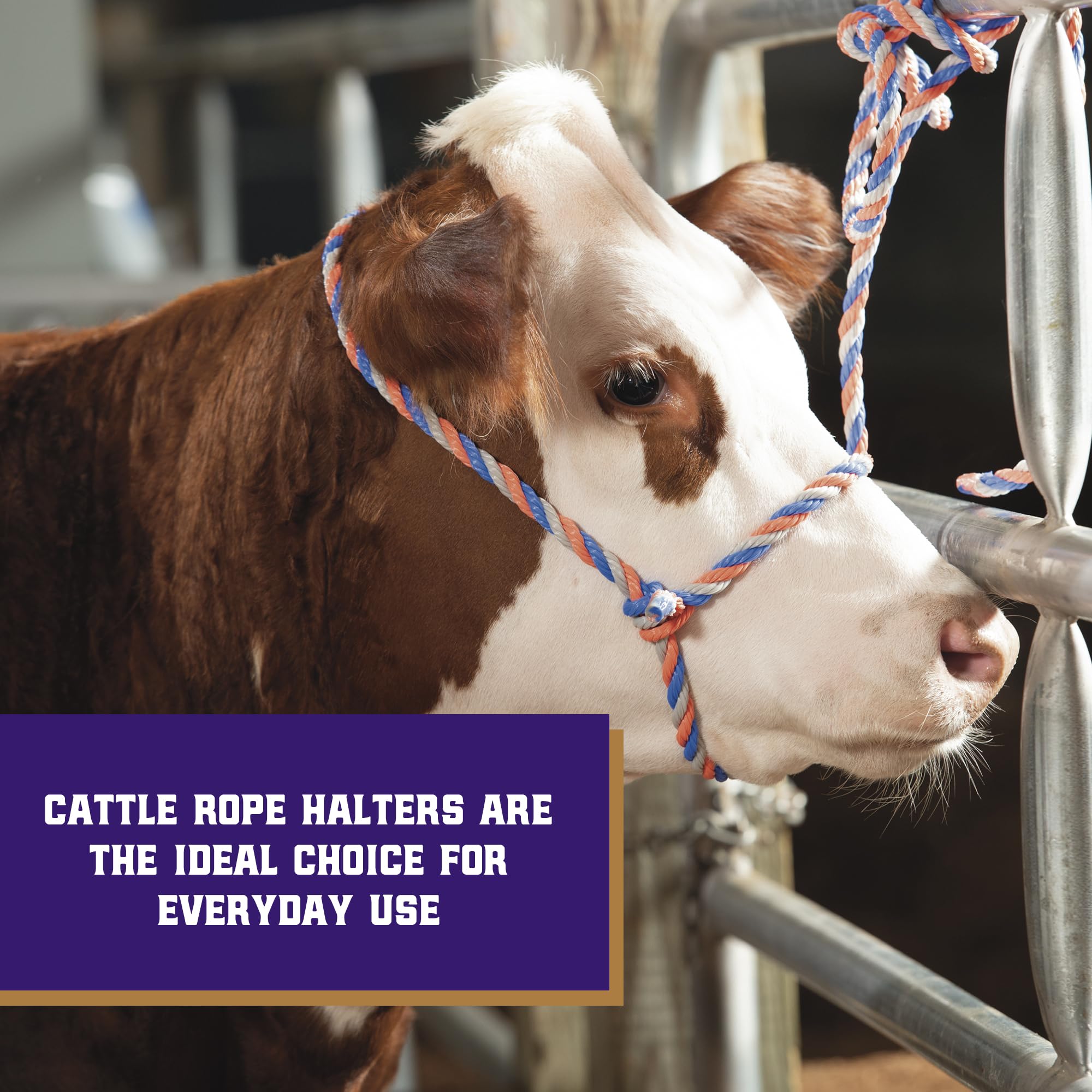 Close-up of Weaver Livestock cattle halter showing the adjustable feature