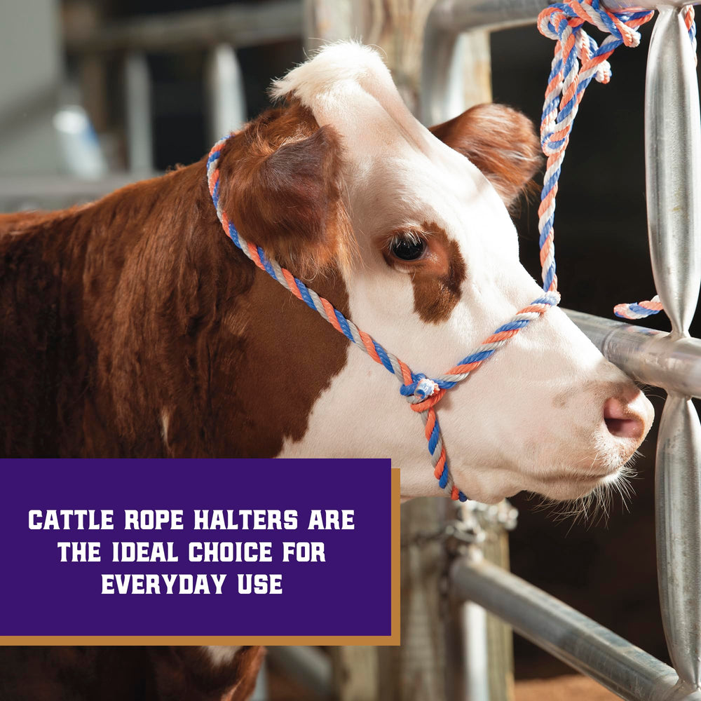 Close-up of Weaver Livestock cattle halter showing the adjustable feature
