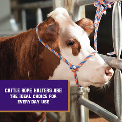 Close-up of Weaver Livestock cattle halter showing the adjustable feature