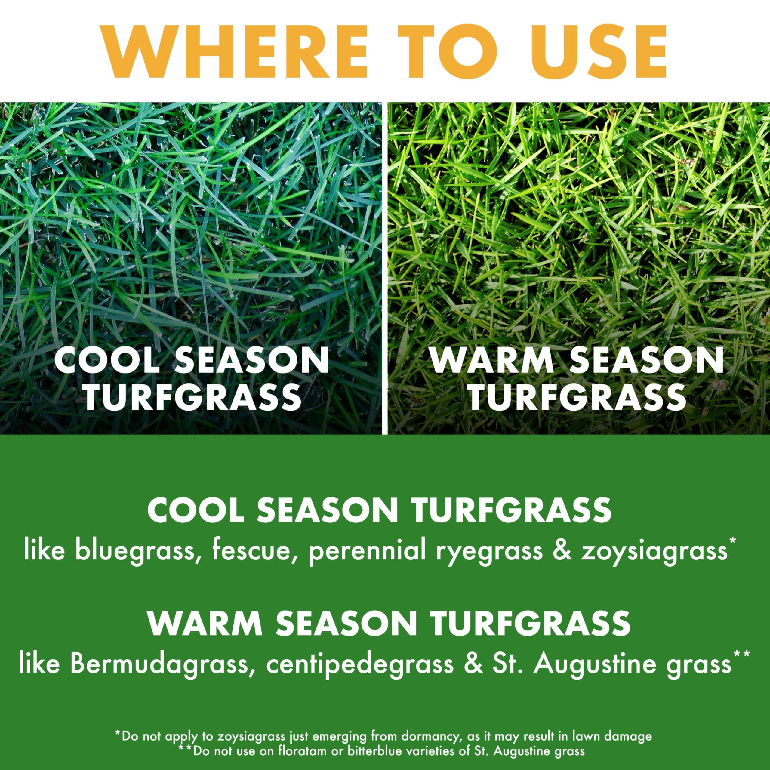 Close-up of weeds killed by Spectracide Weed Stop