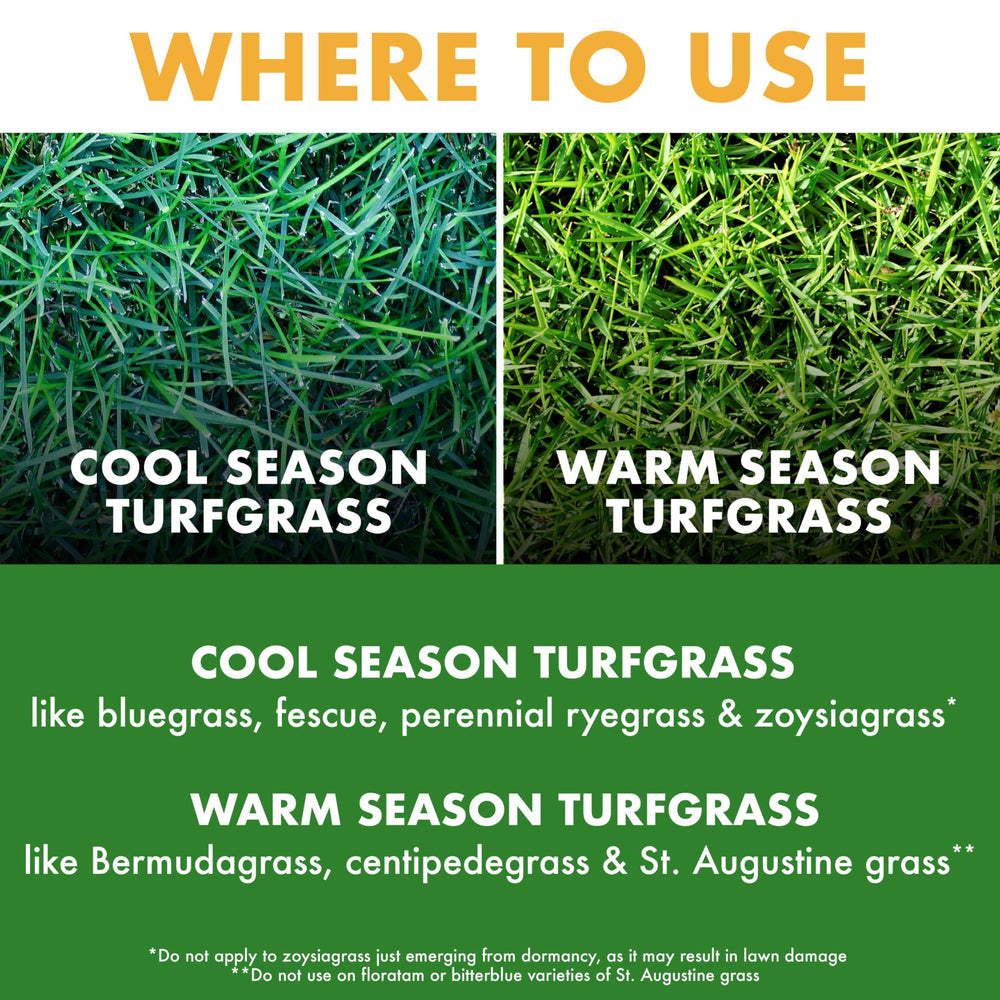 Close-up of weeds killed by Spectracide Weed Stop