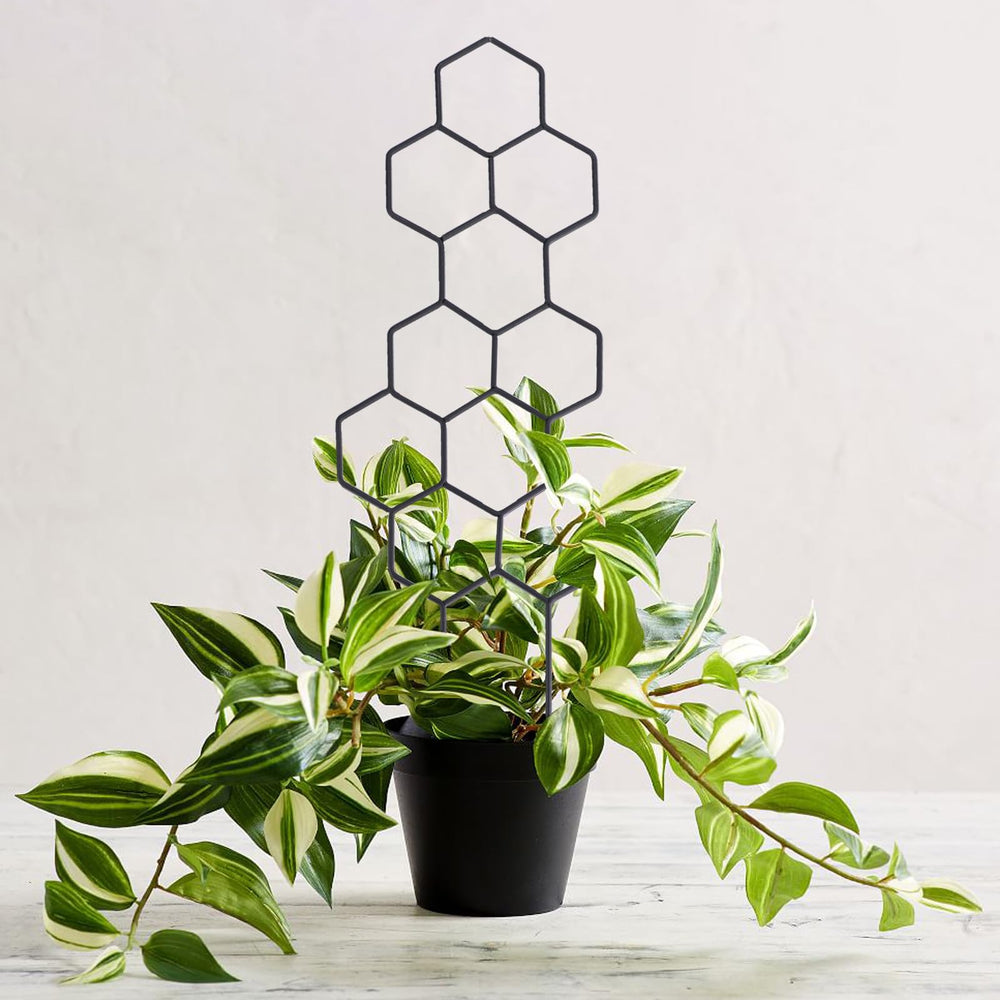 Close-up of WellSign Metal Plant Trellis honeycomb pattern