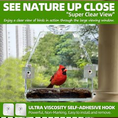 Close-up of WENMIXER Window Bird Feeder showing food and water compartments