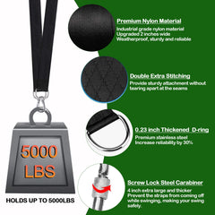 Close-up of Werfeito tree swing strap with heavy-duty carabiner