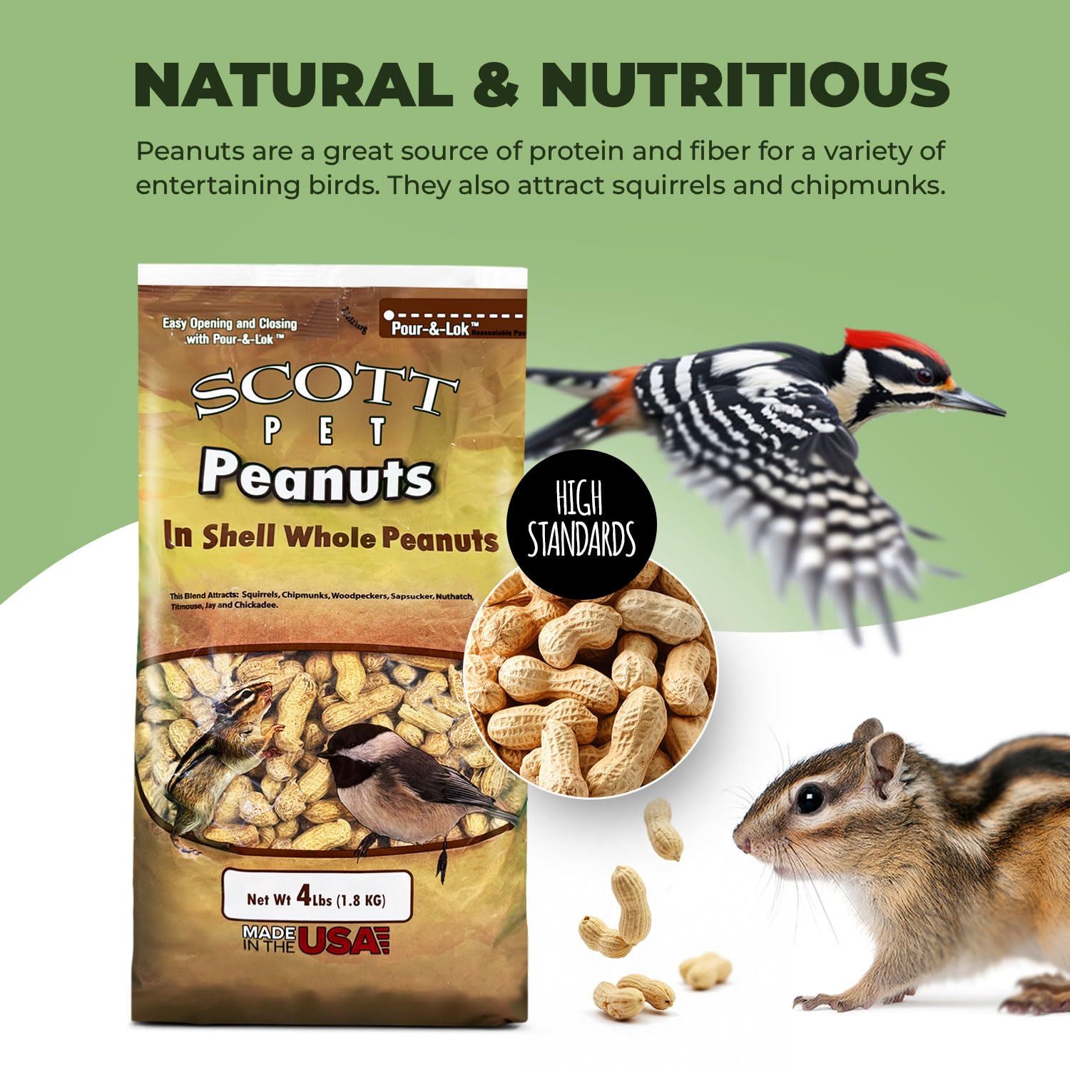 Close-up of whole peanuts in shell for birds