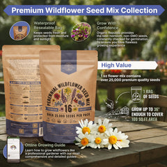 Close-up of wildflower seeds in the packet