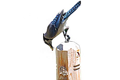 Close-up of Wildlife Sciences Suet Plug ingredients