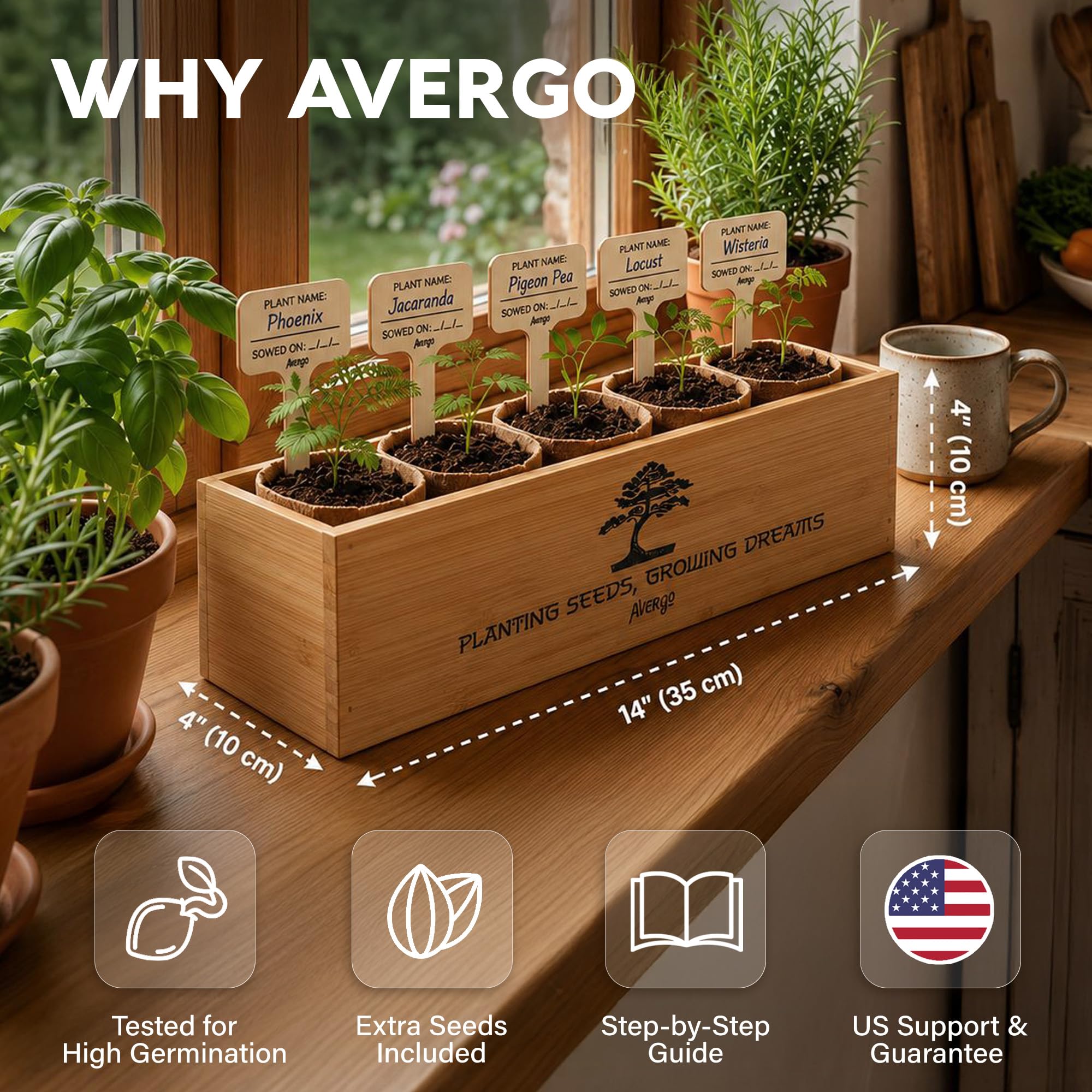 Close-up of Wisteria seed packet from AVERGO Bonsai Tree Kit