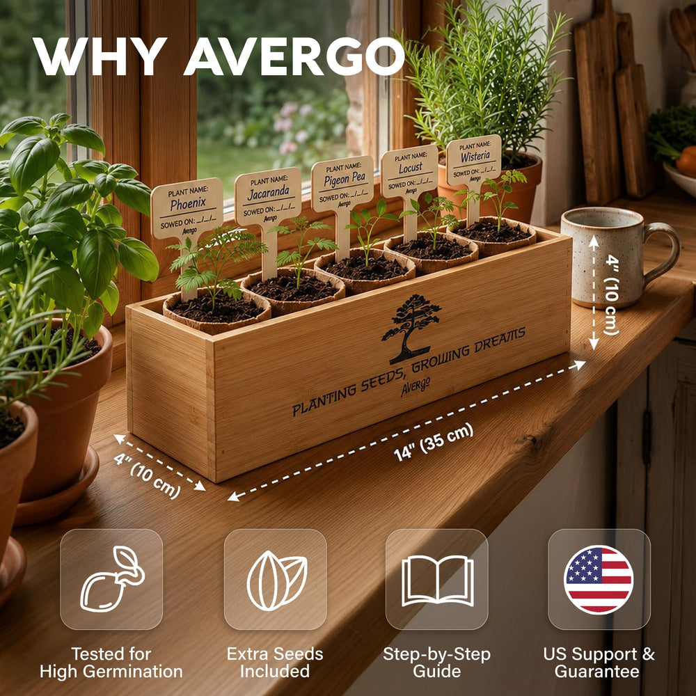 Close-up of Wisteria seed packet from AVERGO Bonsai Tree Kit