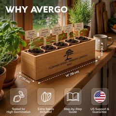 Close-up of Wisteria seed packet from AVERGO Bonsai Tree Kit