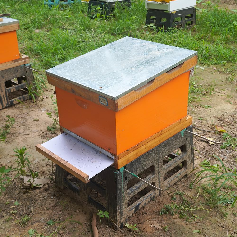Close-up of witbee Beehive Screened Bottom Board beeswax finish