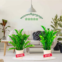 Close-up of WooWellGoGoGo Snake Plant Support Stake, metal construction
