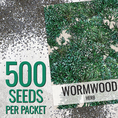 Close-up of Wormwood seeds in packet