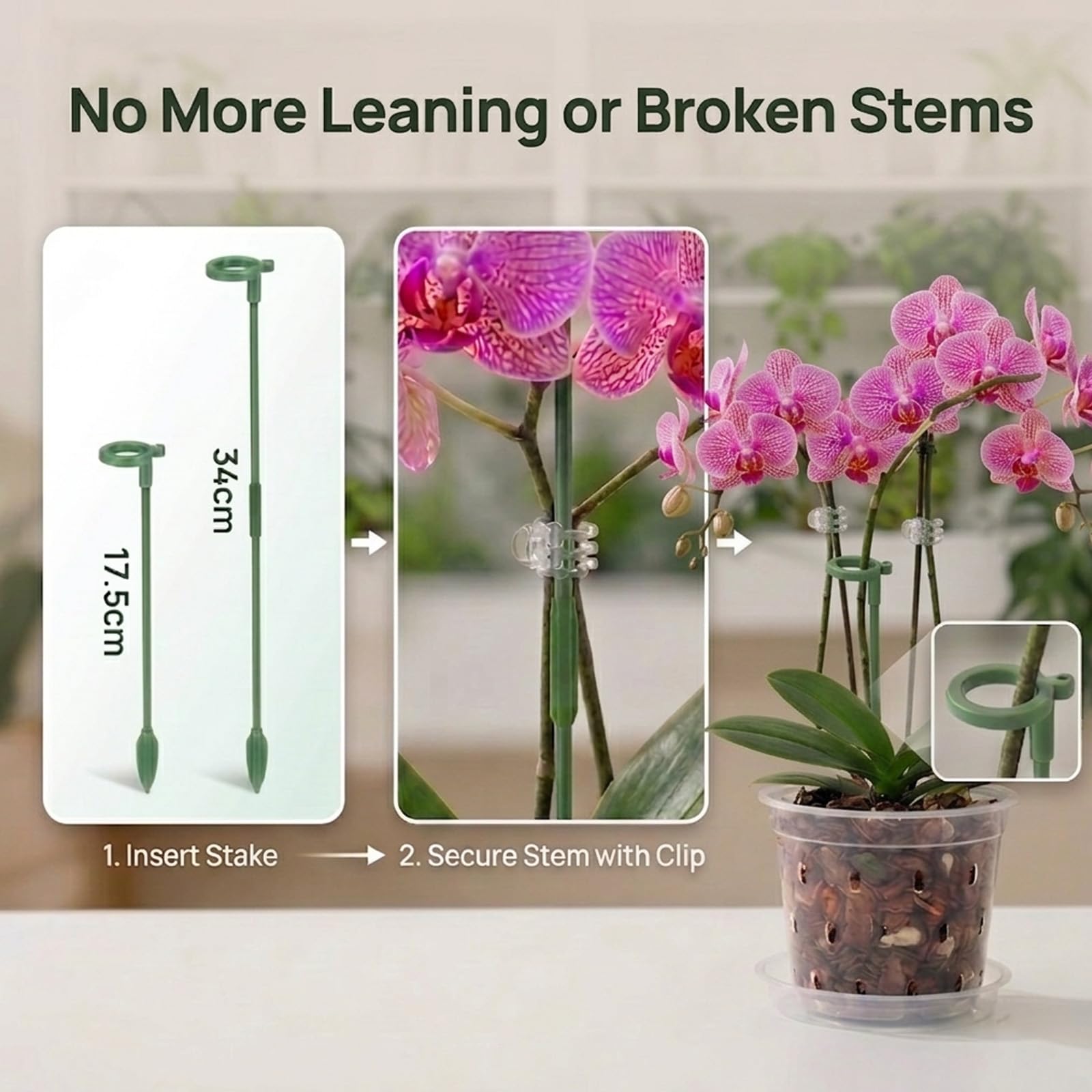 Close-up of WTXHOP plastic orchid pot with drainage holes