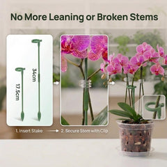 Close-up of WTXHOP plastic orchid pot with drainage holes